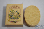 Pimlico Apothecary Soap Rosemary / Guest 25G 0.87 Oz